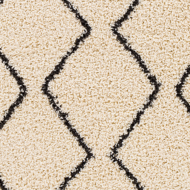 Surya Beni Shag Bsh-2302 Charcoal, Cream Rugs.