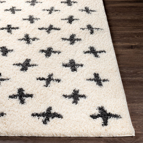 Surya Beni Shag Bsh-2304 Charcoal, Cream Rugs.