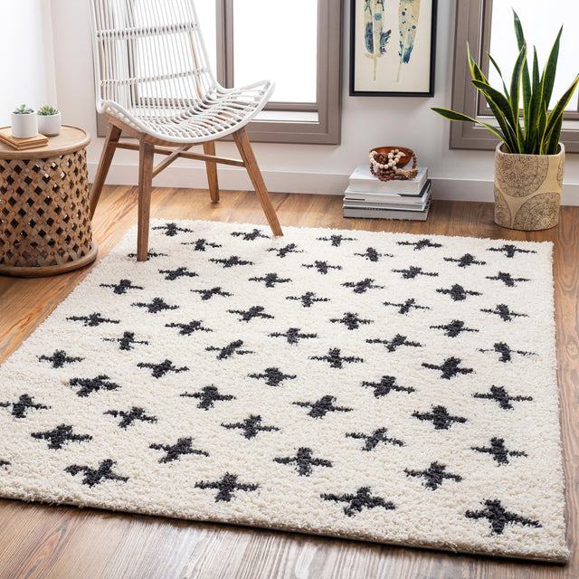 Surya Beni Shag Bsh-2304 Charcoal, Cream Rugs.