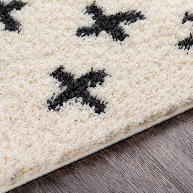 Surya Beni Shag Bsh-2304 Charcoal, Cream Rugs.