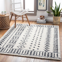 Surya Beni Shag Bsh-2305 Charcoal, Cream Area Rug