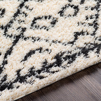 Surya Beni Shag Bsh-2306 Charcoal, Cream Area Rug