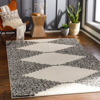 Surya Beni Shag Bsh-2308 Charcoal, Cream Area Rug