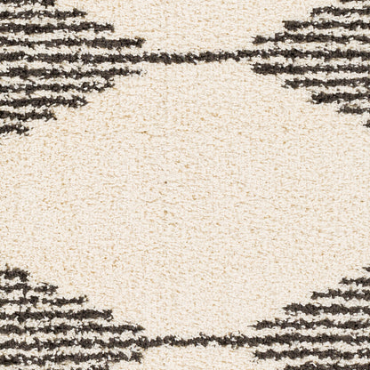 Surya Beni Shag Bsh-2308 Charcoal, Cream Area Rug