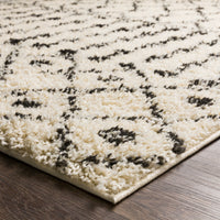 Surya Beni Shag Bsh-2309 Charcoal, Cream Area Rug