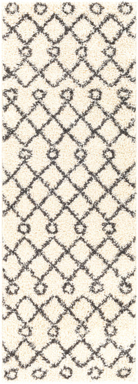 Surya Beni Shag Bsh-2313 Charcoal, Cream Area Rug