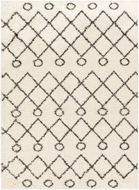 Surya Beni Shag Bsh-2313 Charcoal, Cream Area Rug