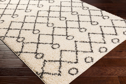 Surya Beni Shag Bsh-2313 Charcoal, Cream Area Rug