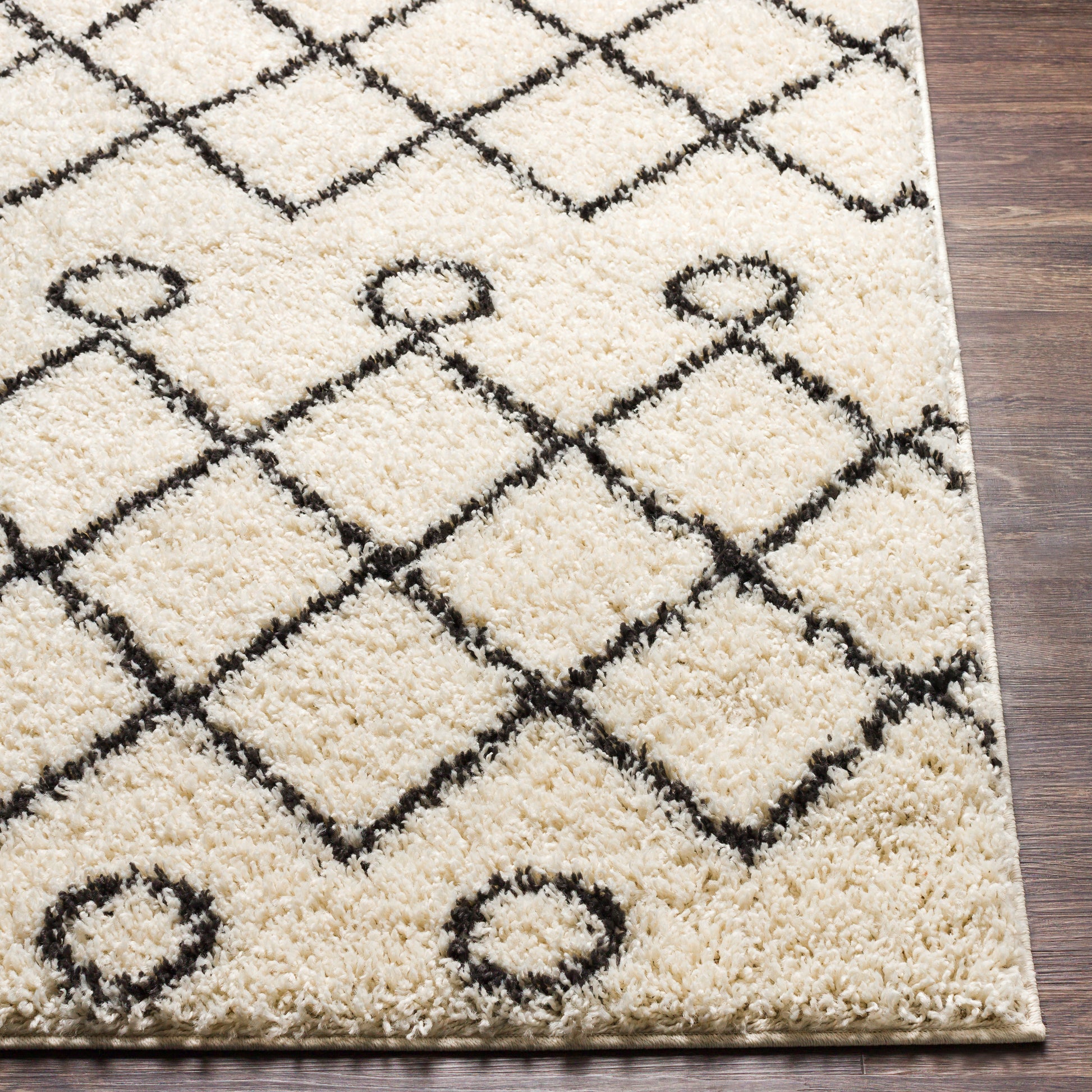 Surya Beni Shag Bsh-2313 Charcoal, Cream Area Rug