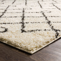 Surya Beni Shag Bsh-2313 Charcoal, Cream Area Rug