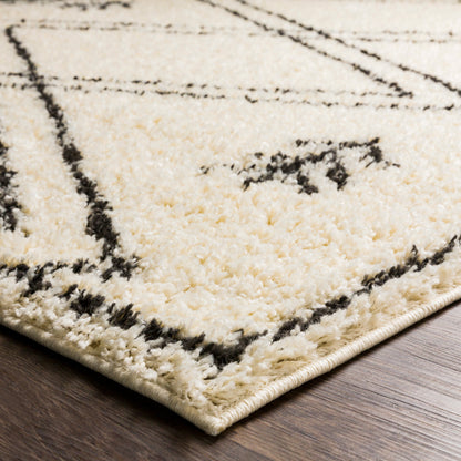 Surya Beni Shag Bsh-2315 Charcoal, Cream Area Rug