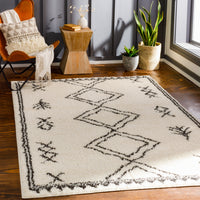 Surya Beni Shag Bsh-2316 Charcoal, Cream Area Rug