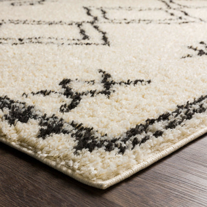 Surya Beni Shag Bsh-2316 Charcoal, Cream Area Rug