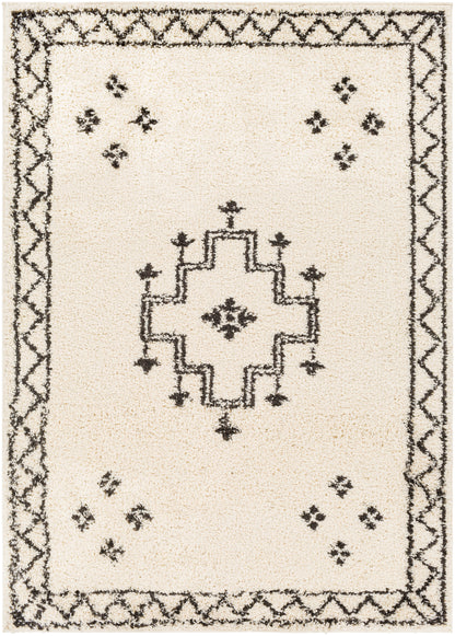 Surya Beni Shag Bsh-2320 Charcoal, Cream Area Rug