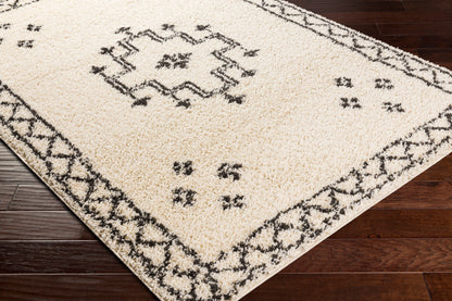 Surya Beni Shag Bsh-2320 Charcoal, Cream Area Rug