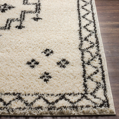 Surya Beni Shag Bsh-2320 Charcoal, Cream Area Rug