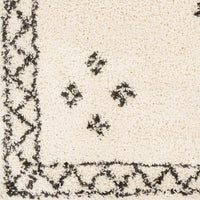 Surya Beni Shag Bsh-2320 Charcoal, Cream Area Rug