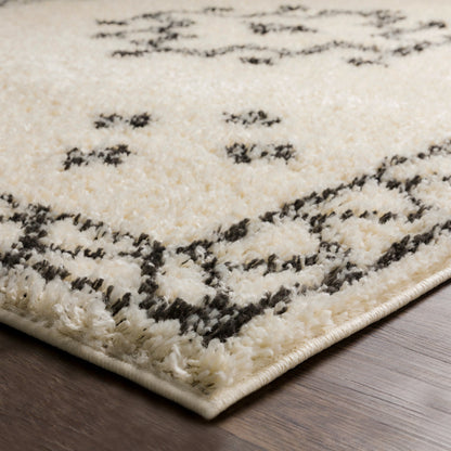 Surya Beni Shag Bsh-2320 Charcoal, Cream Area Rug