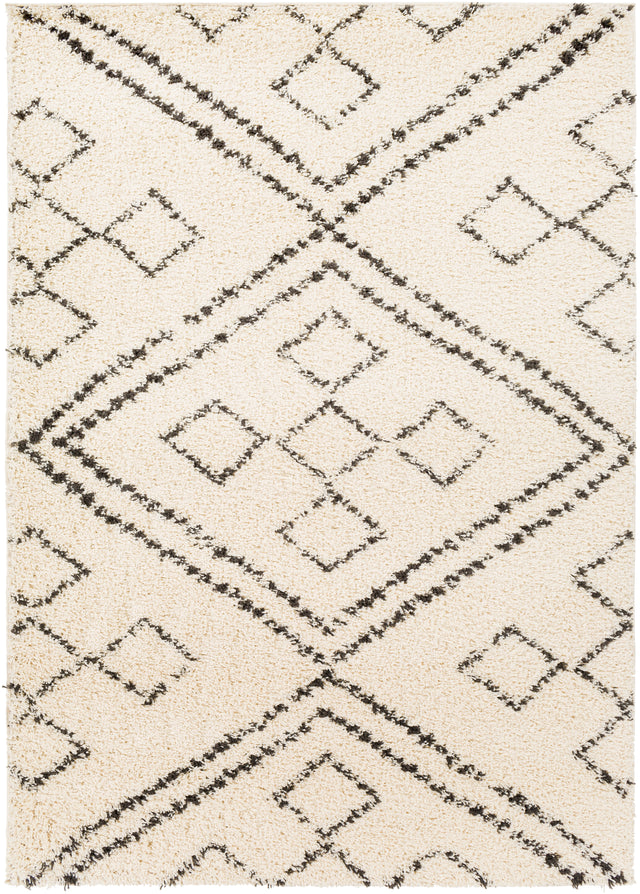 Surya Beni Shag Bsh-2331 Charcoal, Cream Rugs.