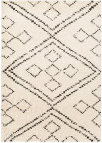 Surya Beni Shag Bsh-2331 Charcoal, Cream Area Rug