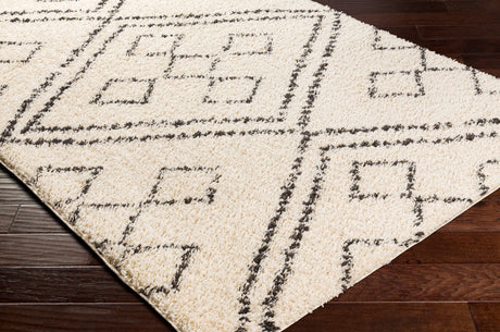 Surya Beni Shag Bsh-2331 Charcoal, Cream Rugs.