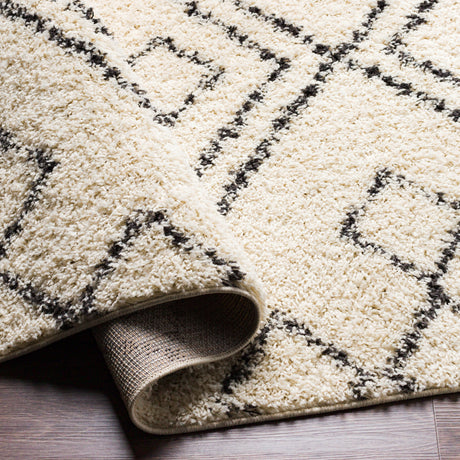 Surya Beni Shag Bsh-2331 Charcoal, Cream Rugs.