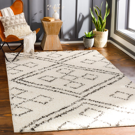 Surya Beni Shag Bsh-2331 Charcoal, Cream Rugs.