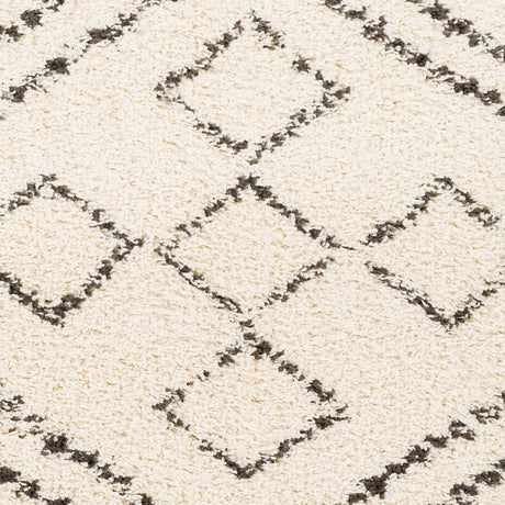 Surya Beni Shag Bsh-2331 Charcoal, Cream Rugs.