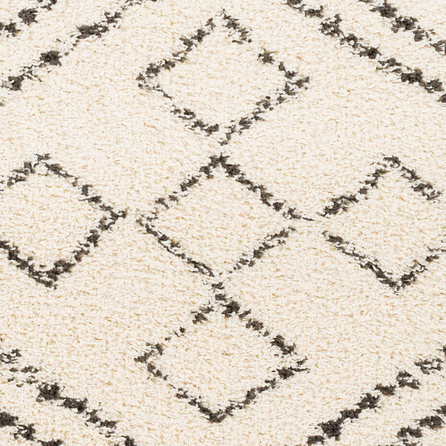 Surya Beni Shag Bsh-2331 Charcoal, Cream Rugs.