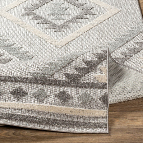 Surya Big Sur Bsr-2313 Light Gray, Taupe, Cream Rugs.