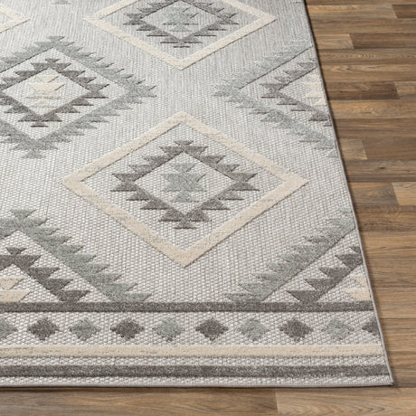 Surya Big Sur Bsr-2313 Light Gray, Taupe, Cream Rugs.