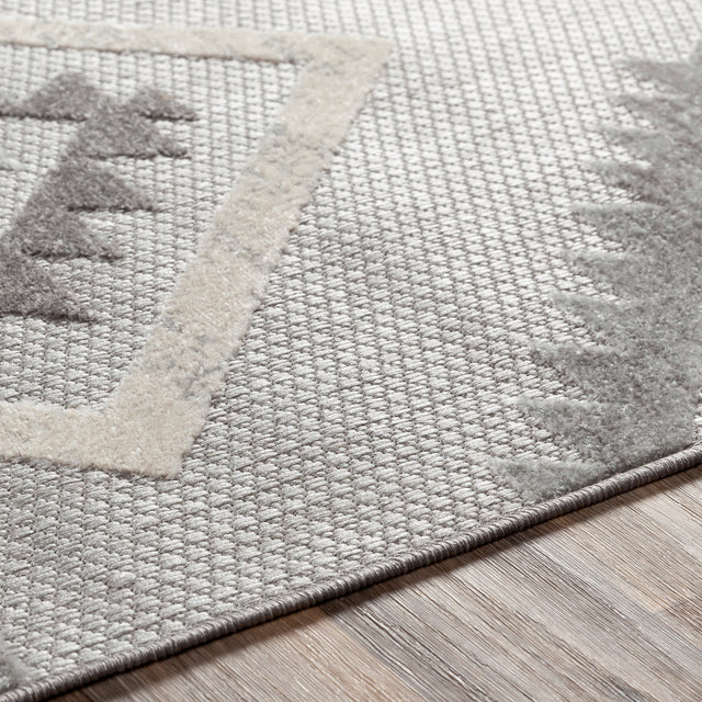 Surya Big Sur Bsr-2313 Light Gray, Taupe, Cream Rugs.