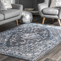 Nuloom Lucille Transitional Nlu2462A Gray Area Rug