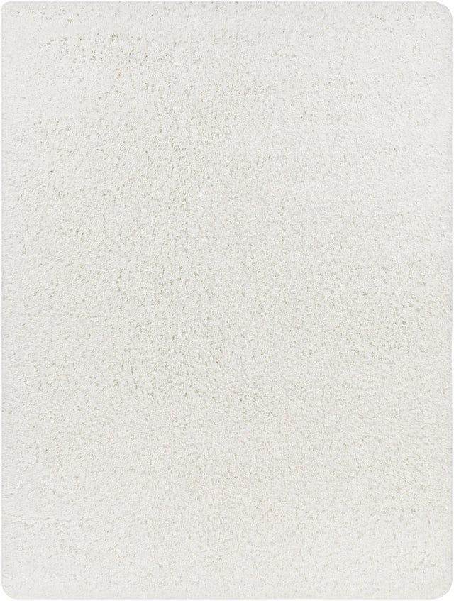 Surya Bogota Shag Btg-2300 White Rug.