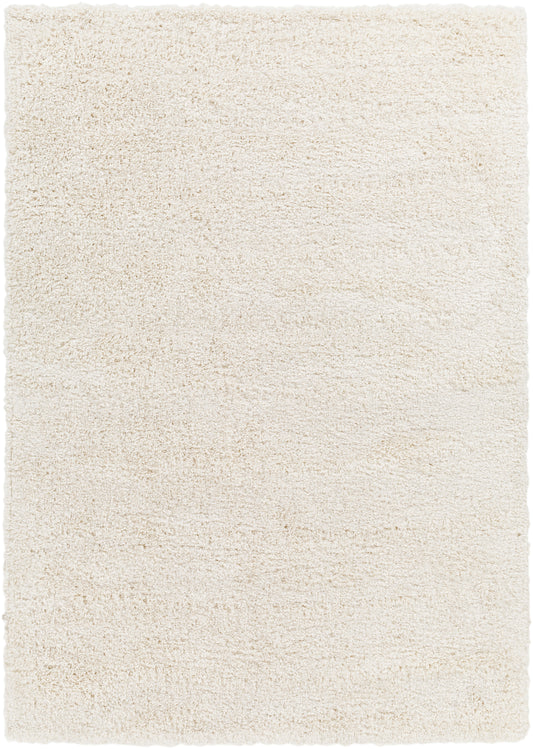 Surya Bogota Shag Btg-2301 Beige Area Rug