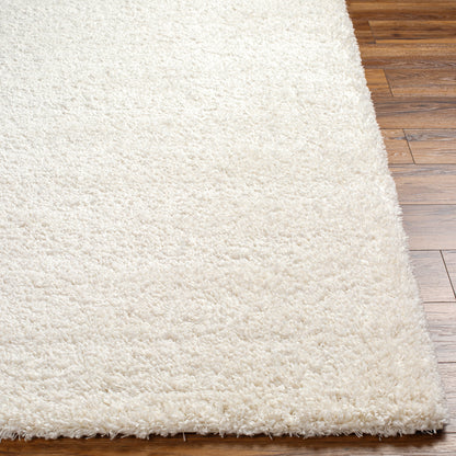 Surya Bogota Shag Btg-2301 Beige Area Rug