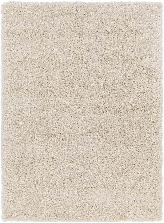 Surya Bogota Shag Btg-2302 Brown Area Rug