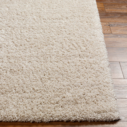 Surya Bogota Shag Btg-2302 Brown Area Rug