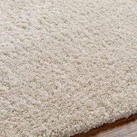 Surya Bogota Shag Btg-2302 Brown Area Rug