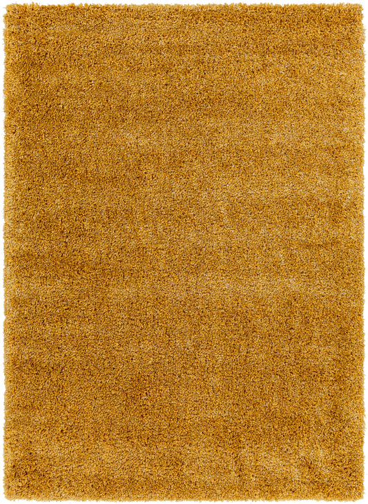 Surya Bogota Shag Btg-2305 Orange Area Rug