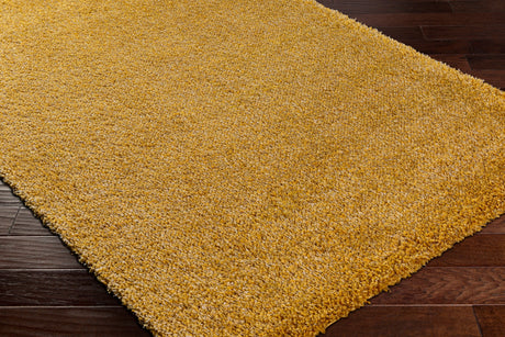 Surya Bogota Shag Btg-2305 Orange Rug.