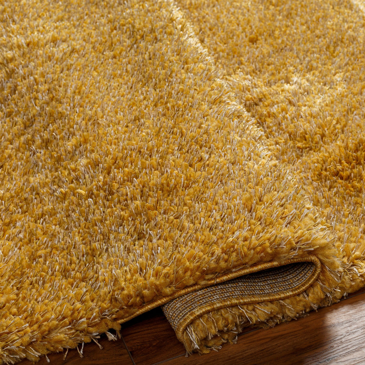Surya Bogota Shag Btg-2305 Orange Rug.
