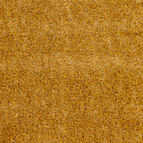 Surya Bogota Shag Btg-2305 Orange Rug.