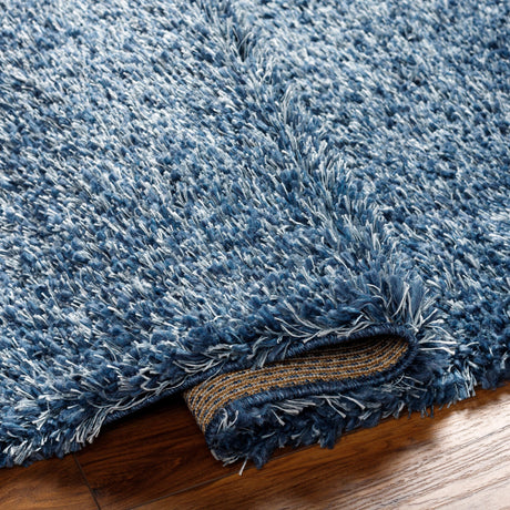 Surya Bogota Shag Btg-2308 Blue Rug.