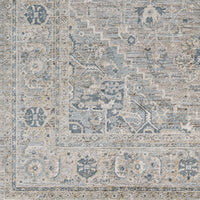 Surya Brunswick Bwk-2319 Dusty Sage, Taupe Area Rug