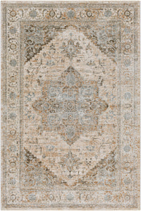 Surya Brunswick Bwk-2320 Light Beige, Taupe Area Rug