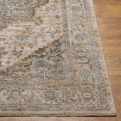 Surya Brunswick Bwk-2320 Light Beige, Taupe Area Rug