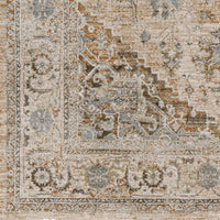 Surya Brunswick Bwk-2320 Light Beige, Taupe Area Rug