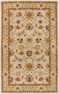 Surya Caesar cae-1010 Beige / Tan / Gold / Black Area Rug