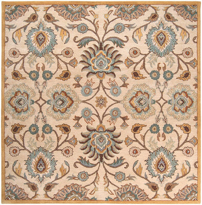 Surya Caesar cae-1012 Beige / Gold / Light Blue Area Rug